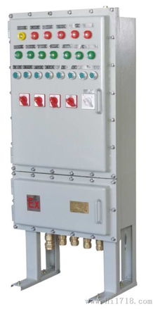 BXD51 6K防爆立式動力配電箱高清細節圖解析——浙江飛浦防爆電器公司產品介紹